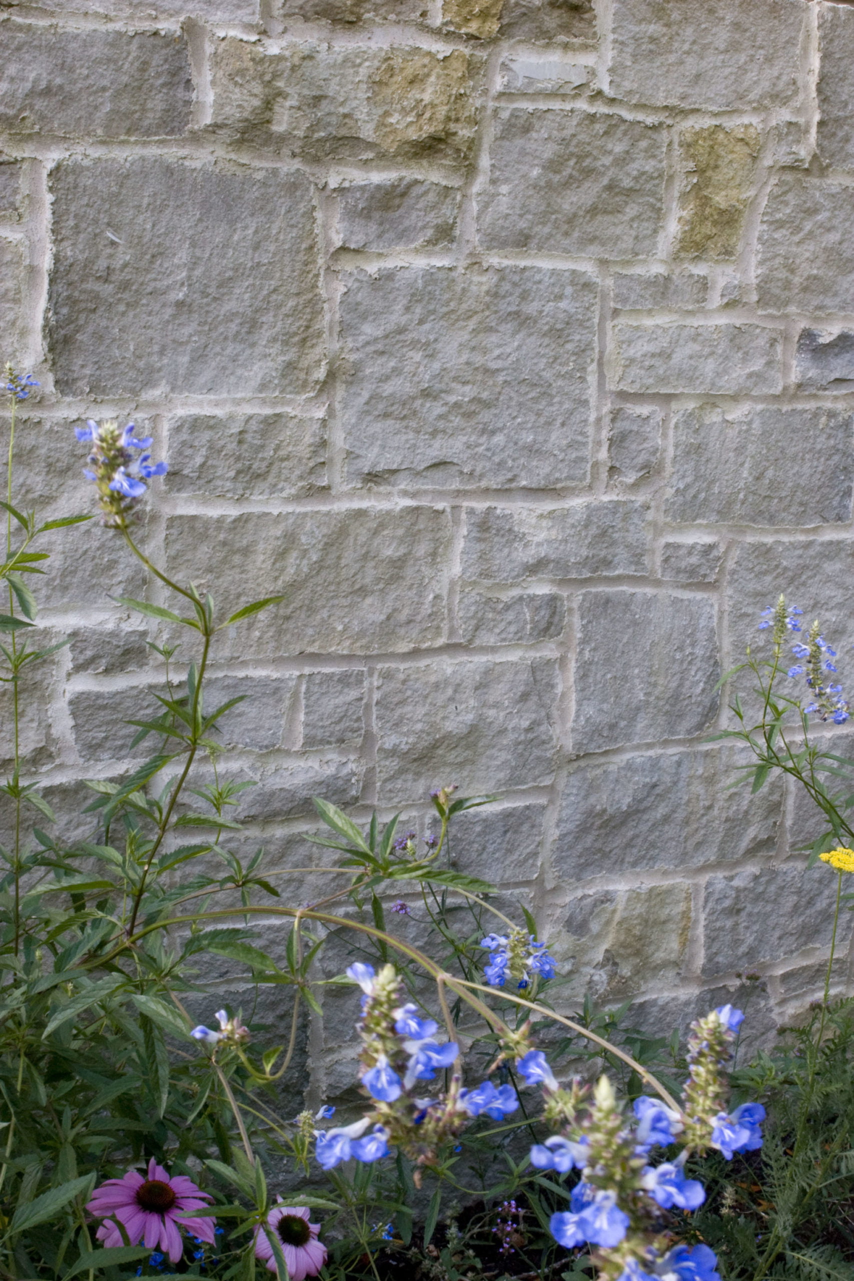 Gris Limestone Split Face exterior wall